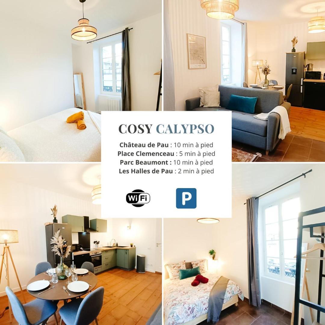 Cosy Calypso 2Ch - Quartier Des Halles & Parking ポー エクステリア 写真